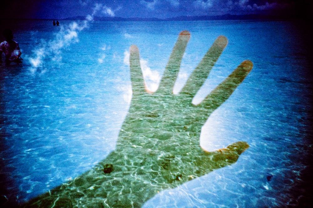 persons hand on water