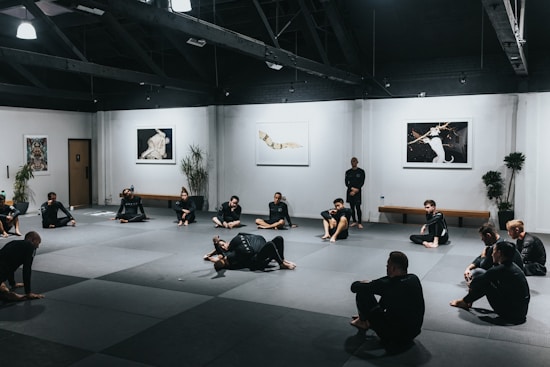 A group of people wearing martial arts uniforms are sitting on a large mat in a spacious room with high ceilings. The walls are adorned with art pieces and there are several potted plants placed around the room. The scene conveys a martial arts training session or class.