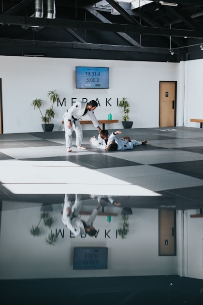 Which Martial Art Do Ninjas Use?