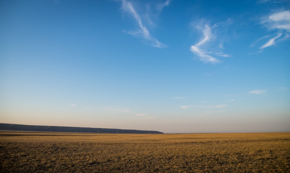 brown field under blue sky during daytime