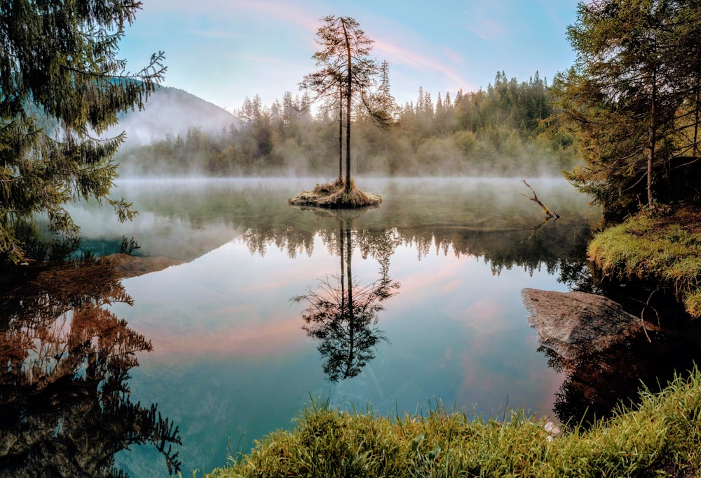 green trees near lake under blue sky during daytime