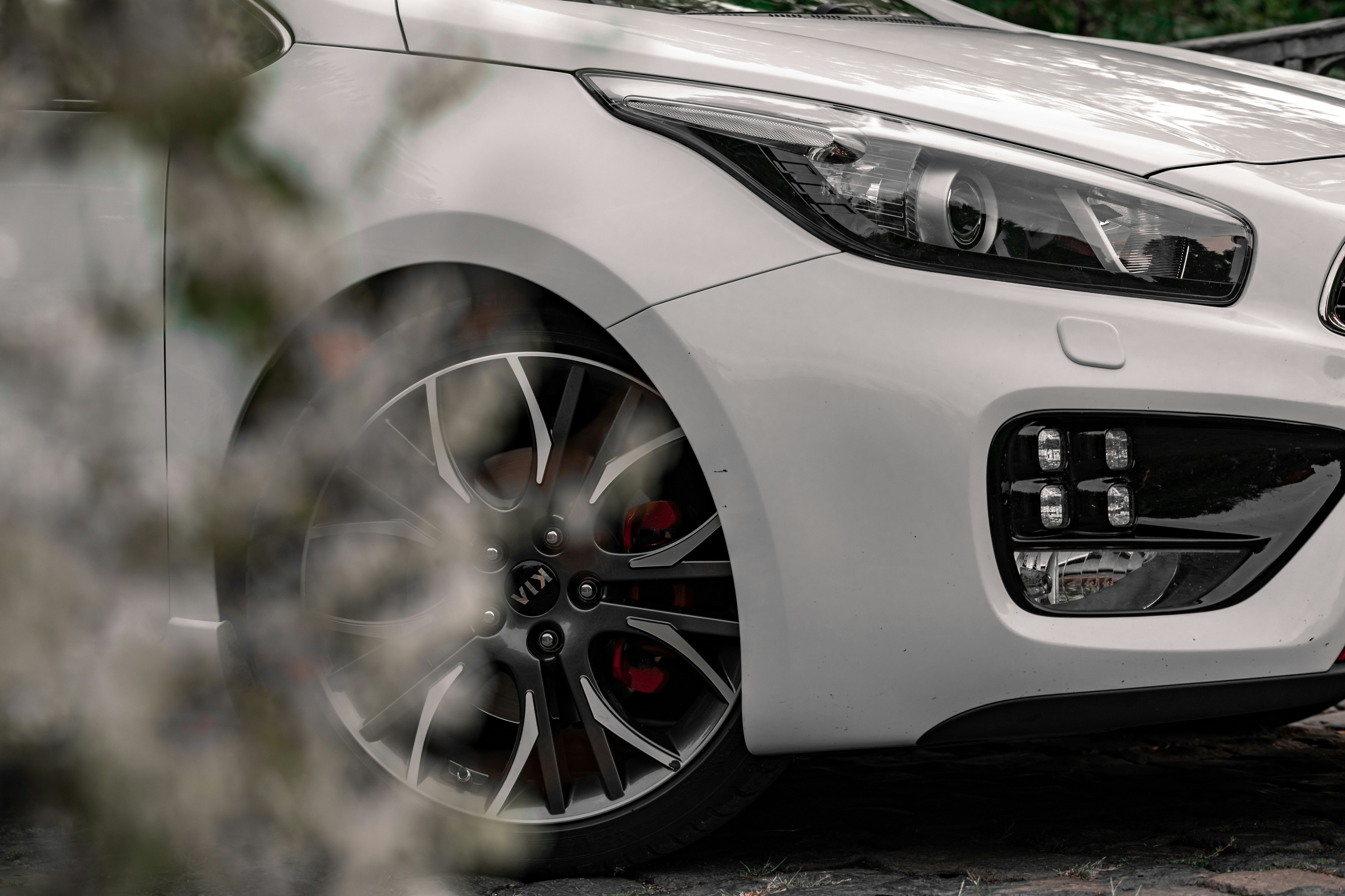 Photo by davidvondiemar