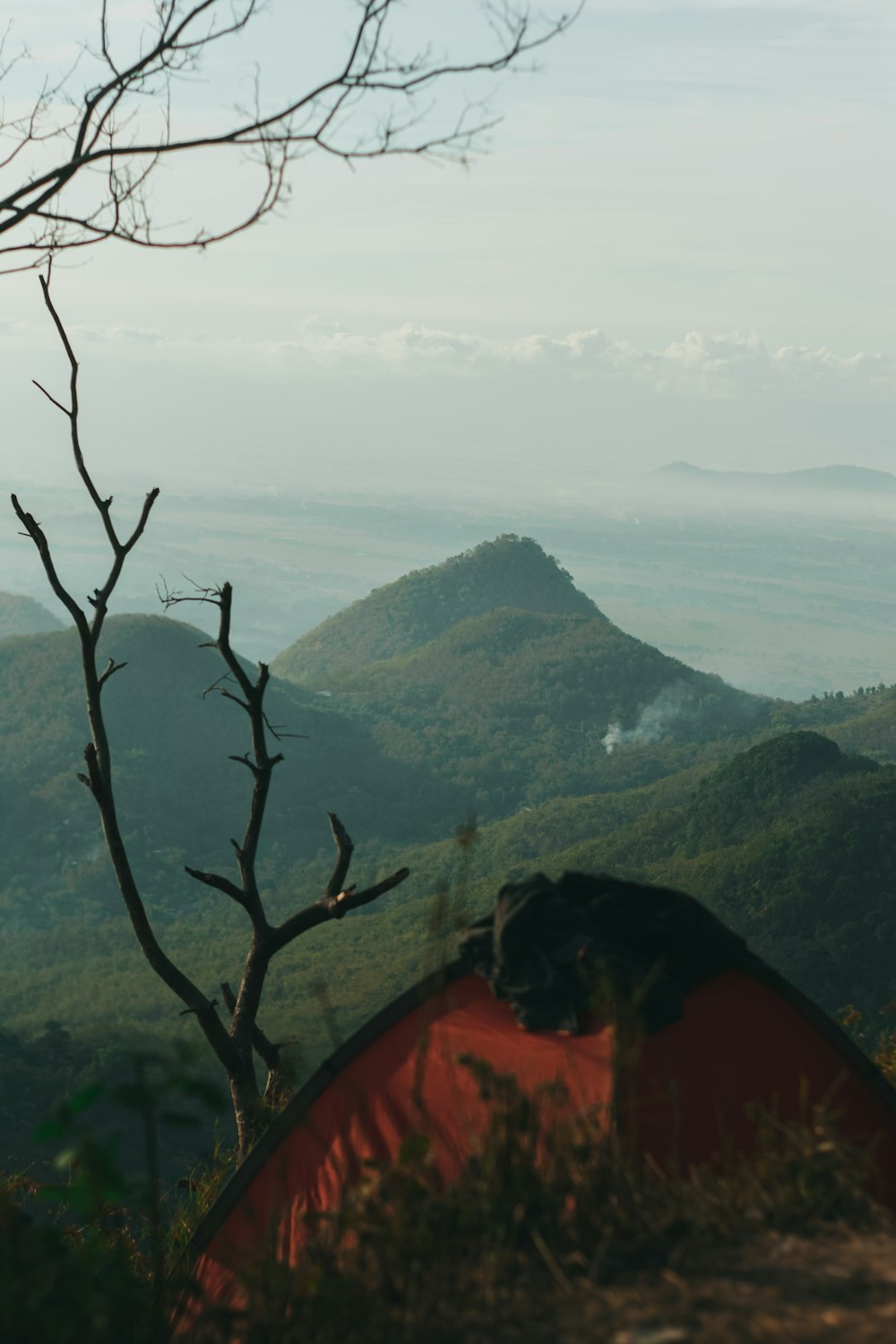 bare tree on top of mountain during daytime