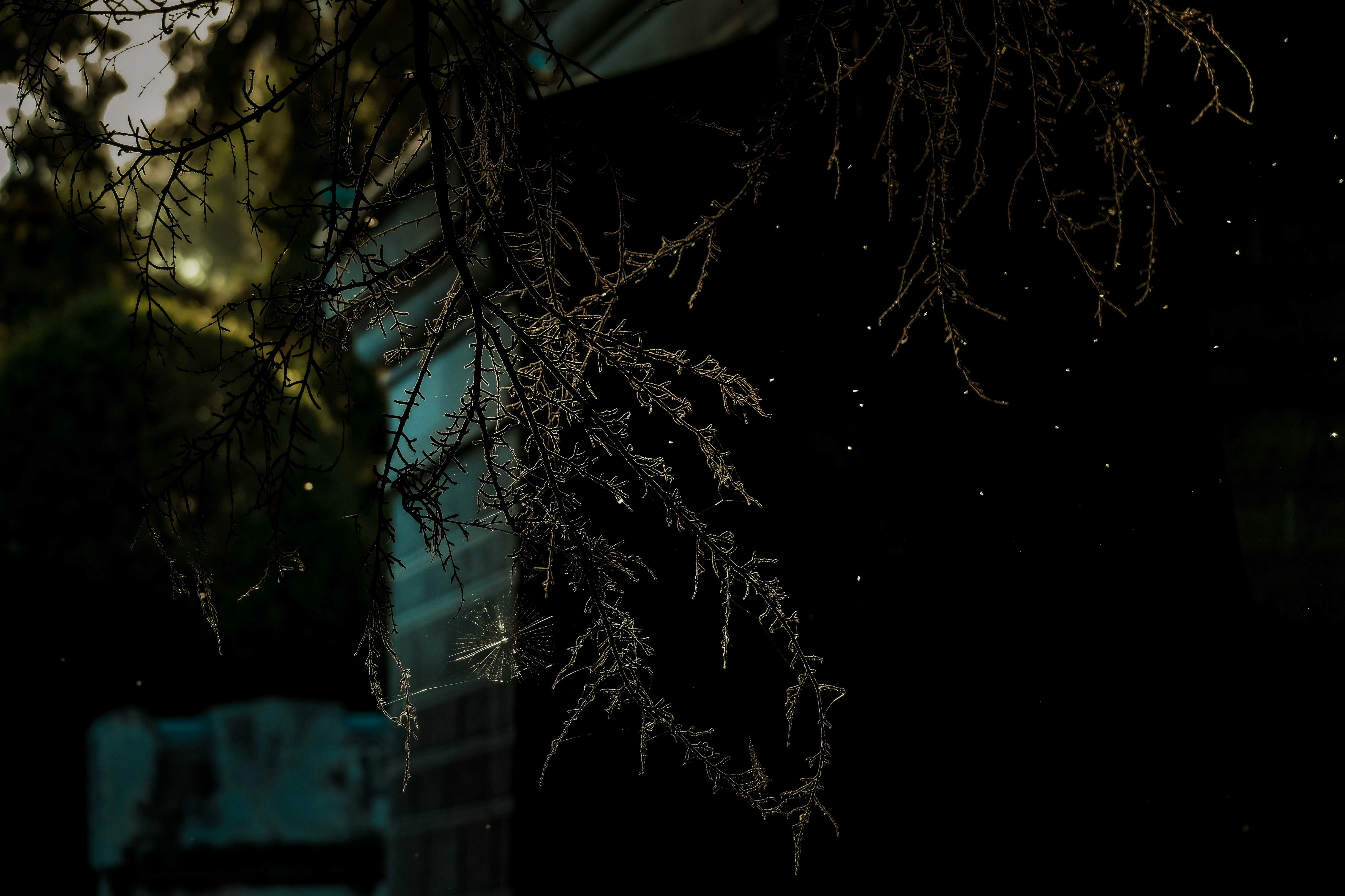 Photo by francesco_ungaro