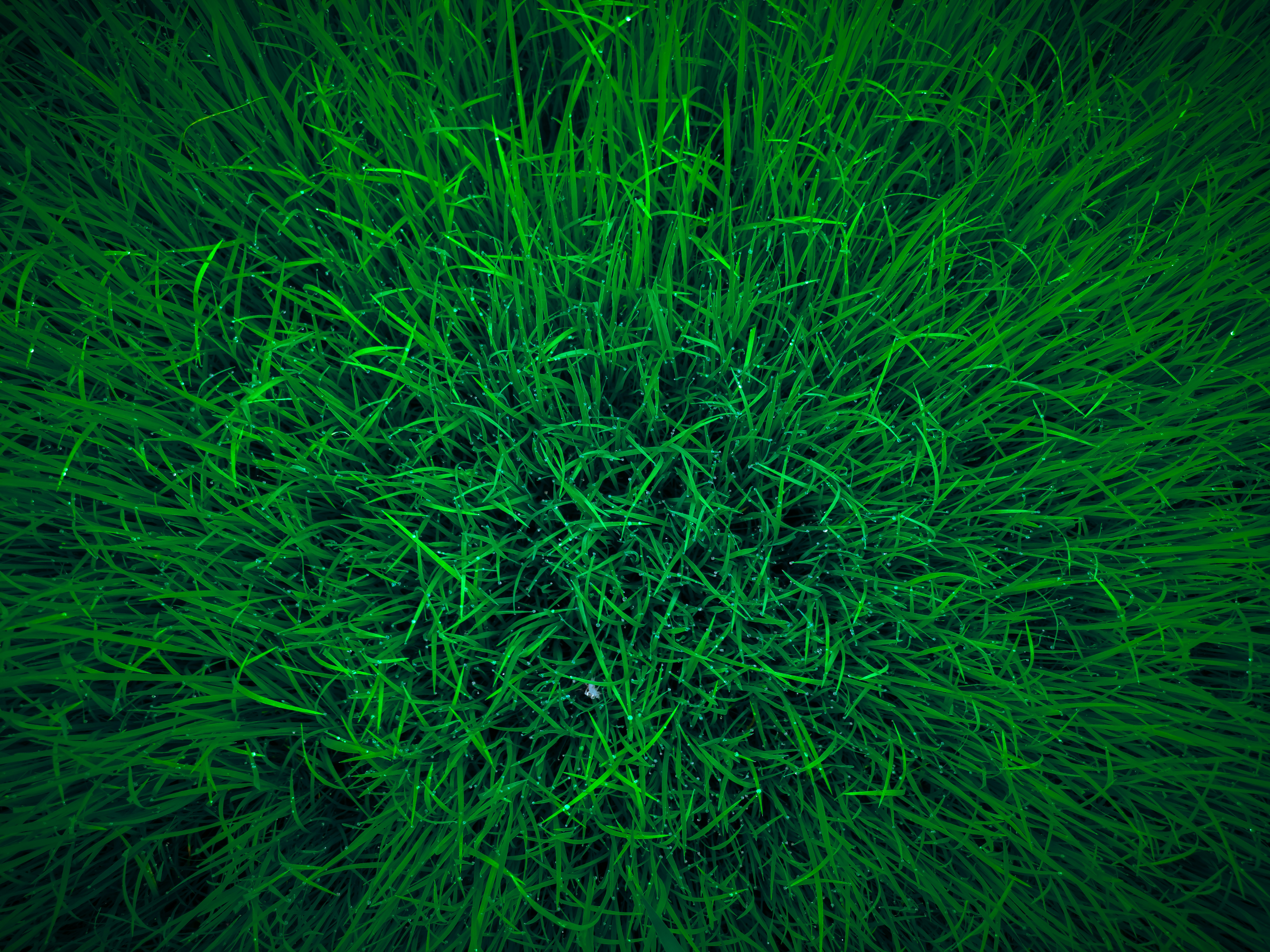 Photo by iamjustfantastic