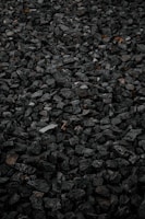 brown dried leaves on ground