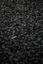 brown dried leaves on ground