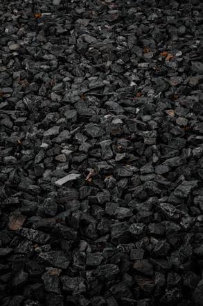 brown dried leaves on ground