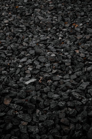 brown dried leaves on ground