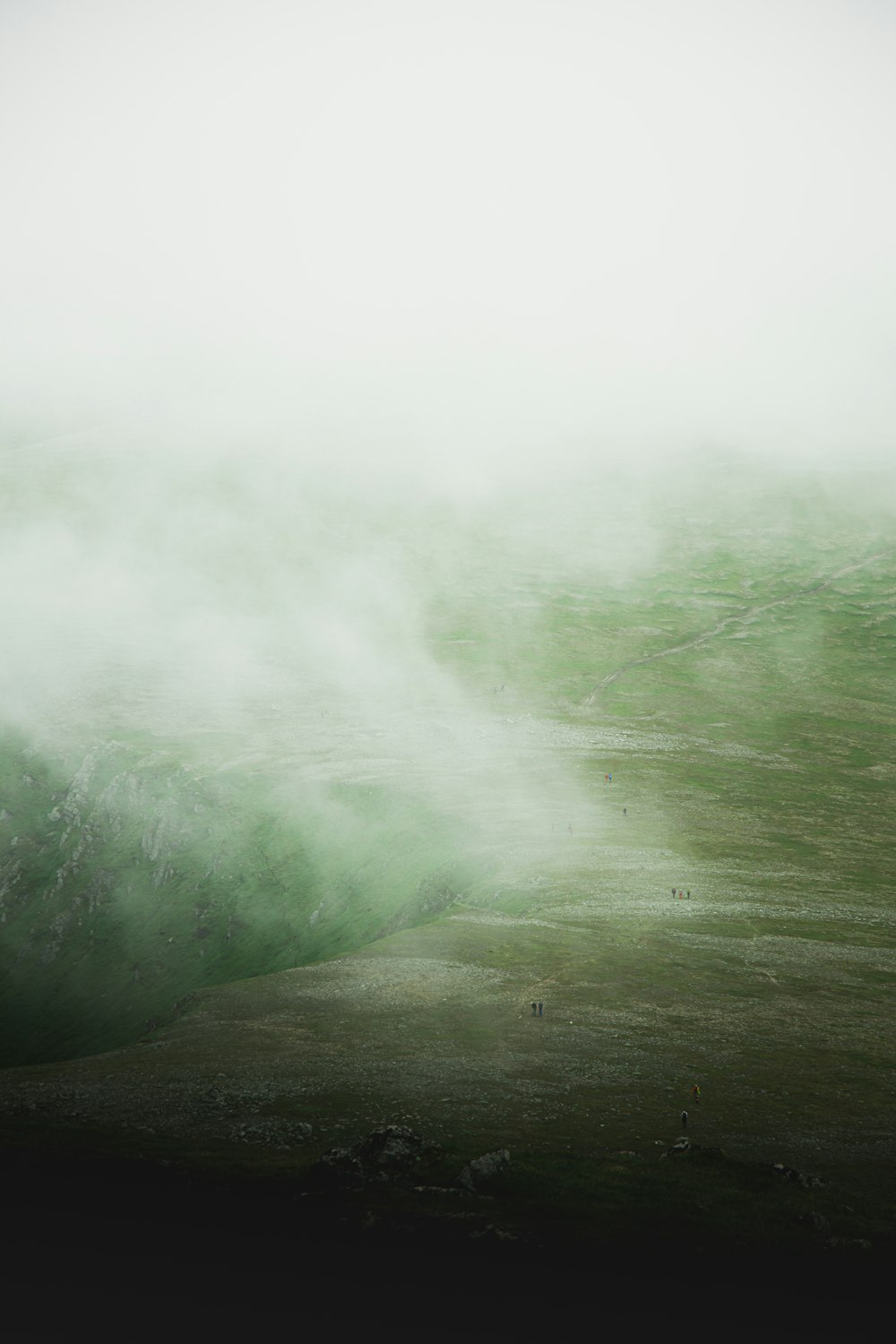 a foggy landscape with a lone tree in the foreground