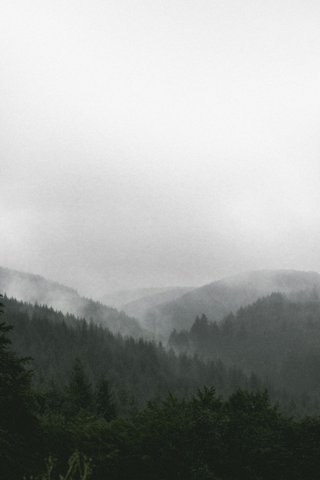 green trees on mountain during daytime