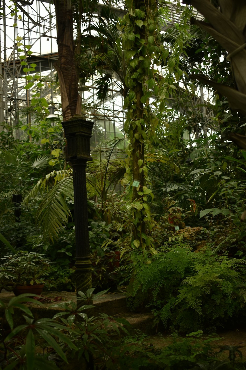 緑の植物に囲まれた黒い金属製の支柱