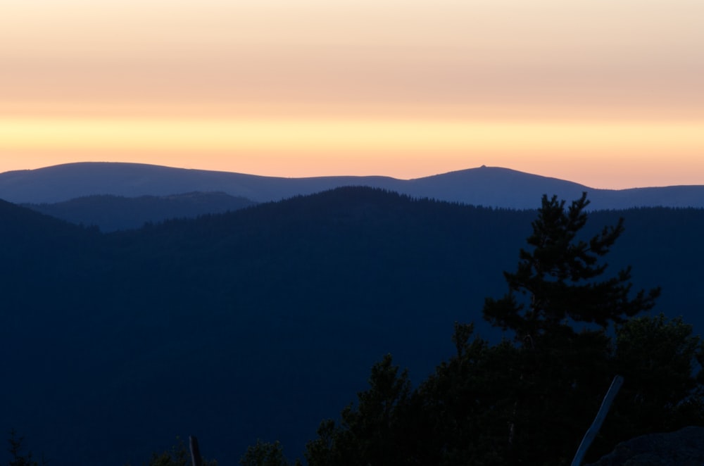 silhueta das árvores durante o pôr do sol