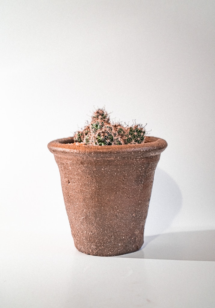 Minimalistische Plantenpot