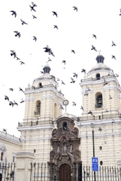 birds flying over beige concrete building during daytime