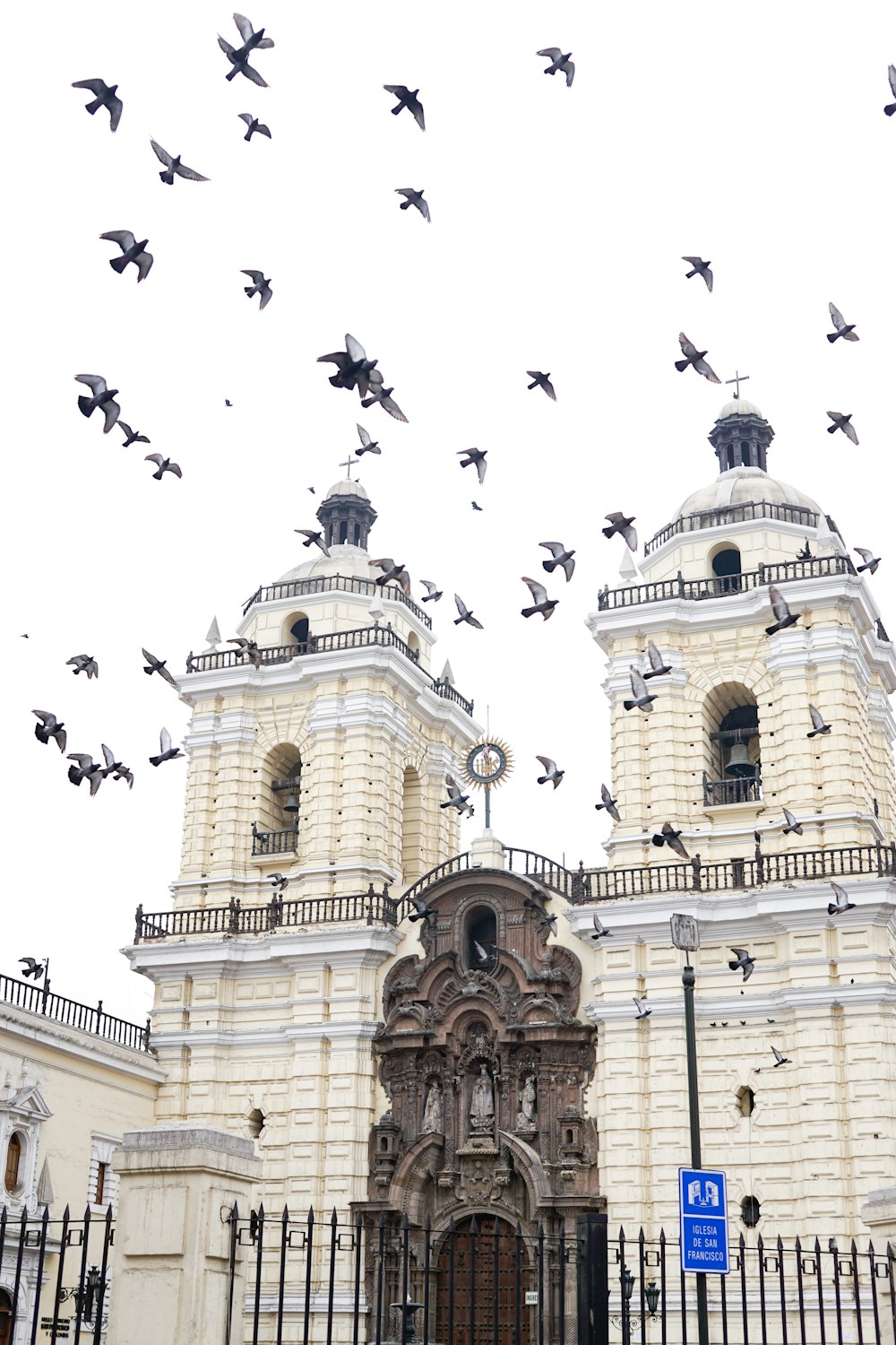 昼間、ベージュ色のコンクリートの建物の上を飛ぶ鳥たち