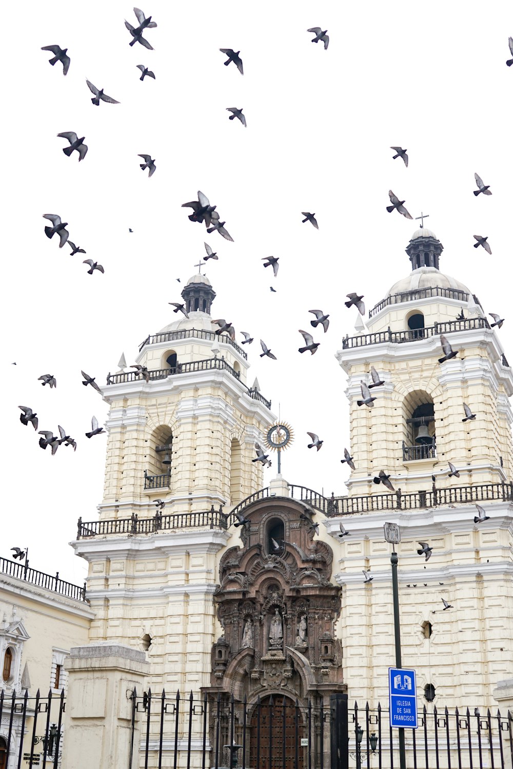 birds flying over beige concrete building during daytime