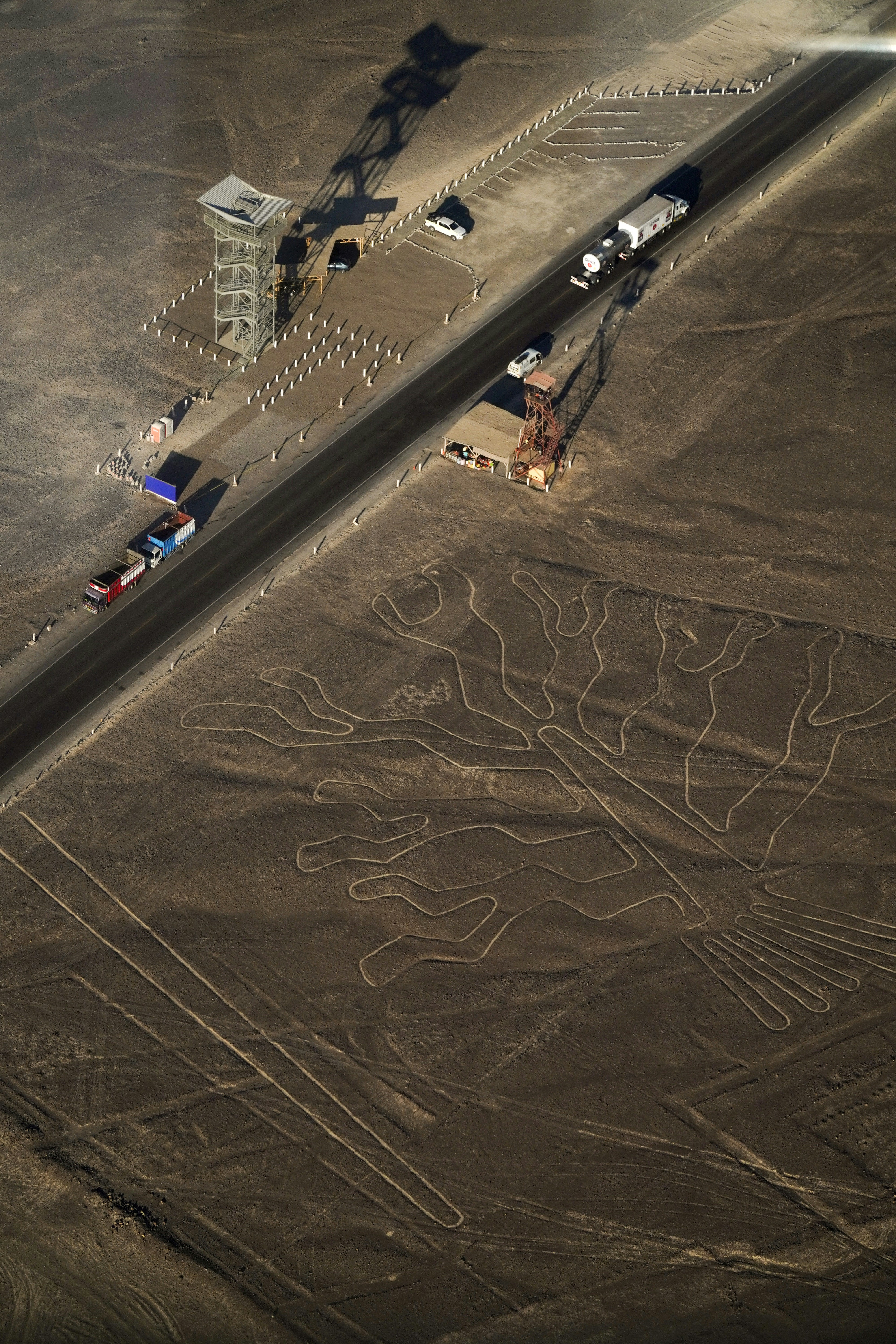 people walking on gray sand during daytime