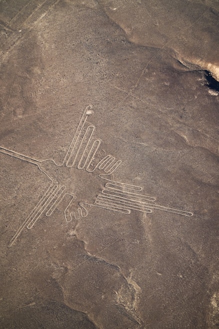 Large geoglyph depicting an animal figure resembling a bird, etched into a barren desert landscape. The intricate lines are clearly visible against the brownish earth, highlighting the simplicity of the design and the skill required to create such a large-scale artwork.