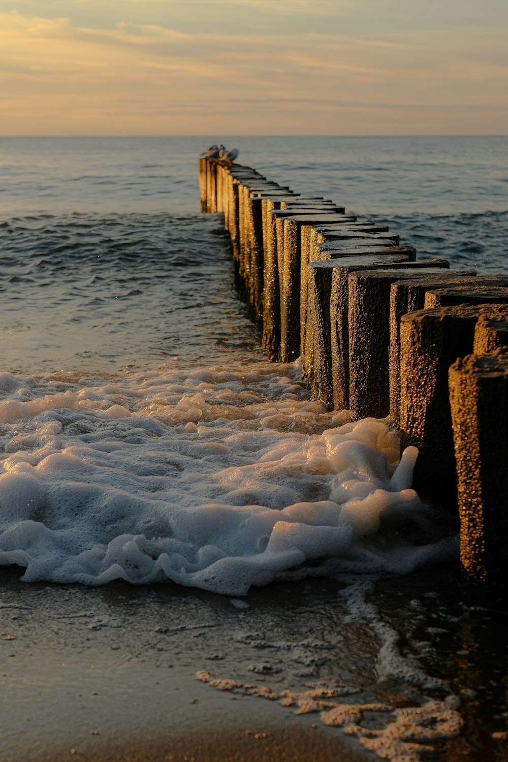 brown wooden dock on sea during daytime