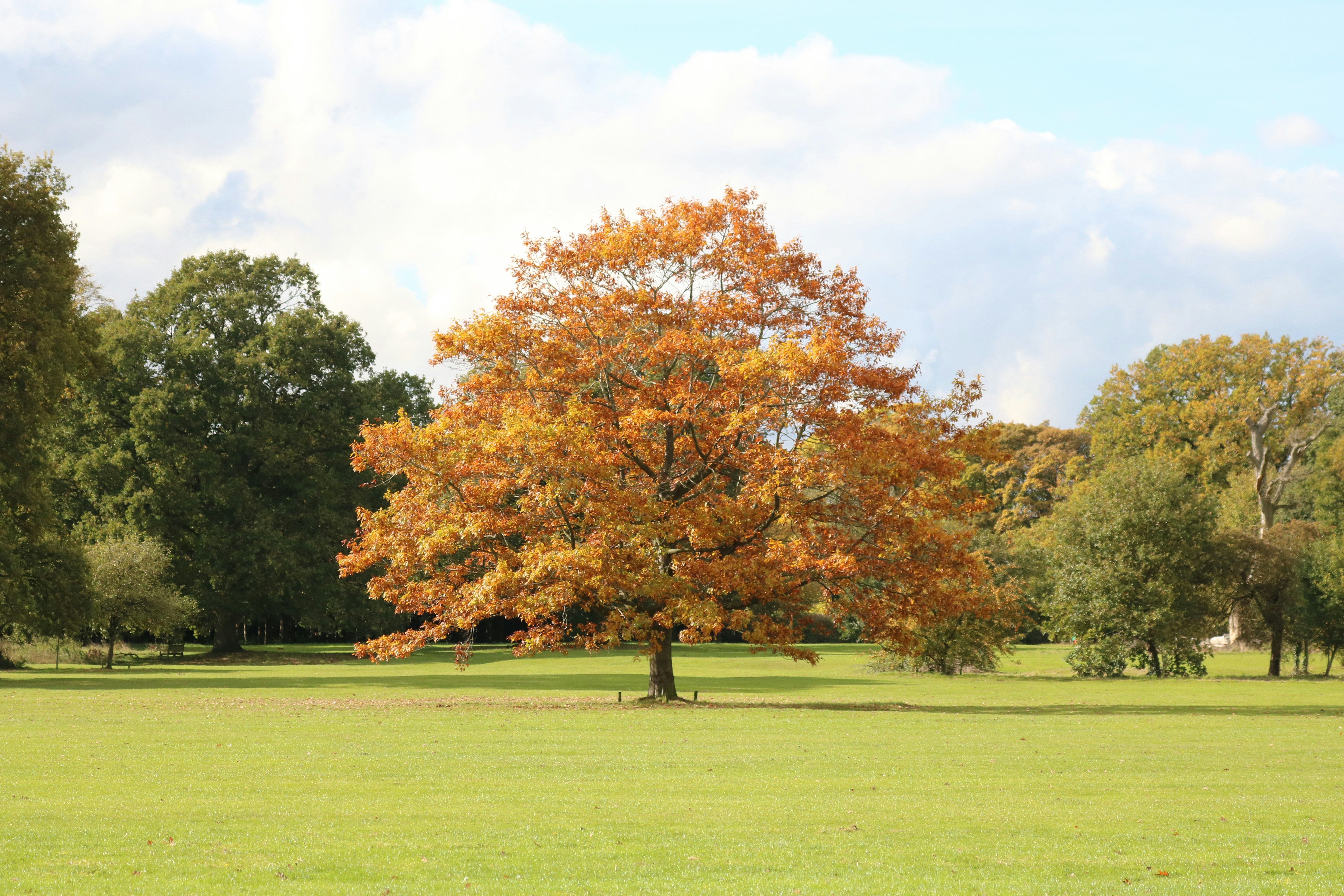 Photo by peterm4988372