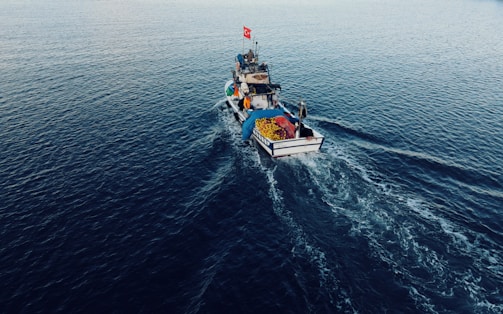 A fishing boat navigates through the calm waters, leaving a trail of waves behind. The vessel is carrying fishing gear and nets, and a flag is flying atop the boat.