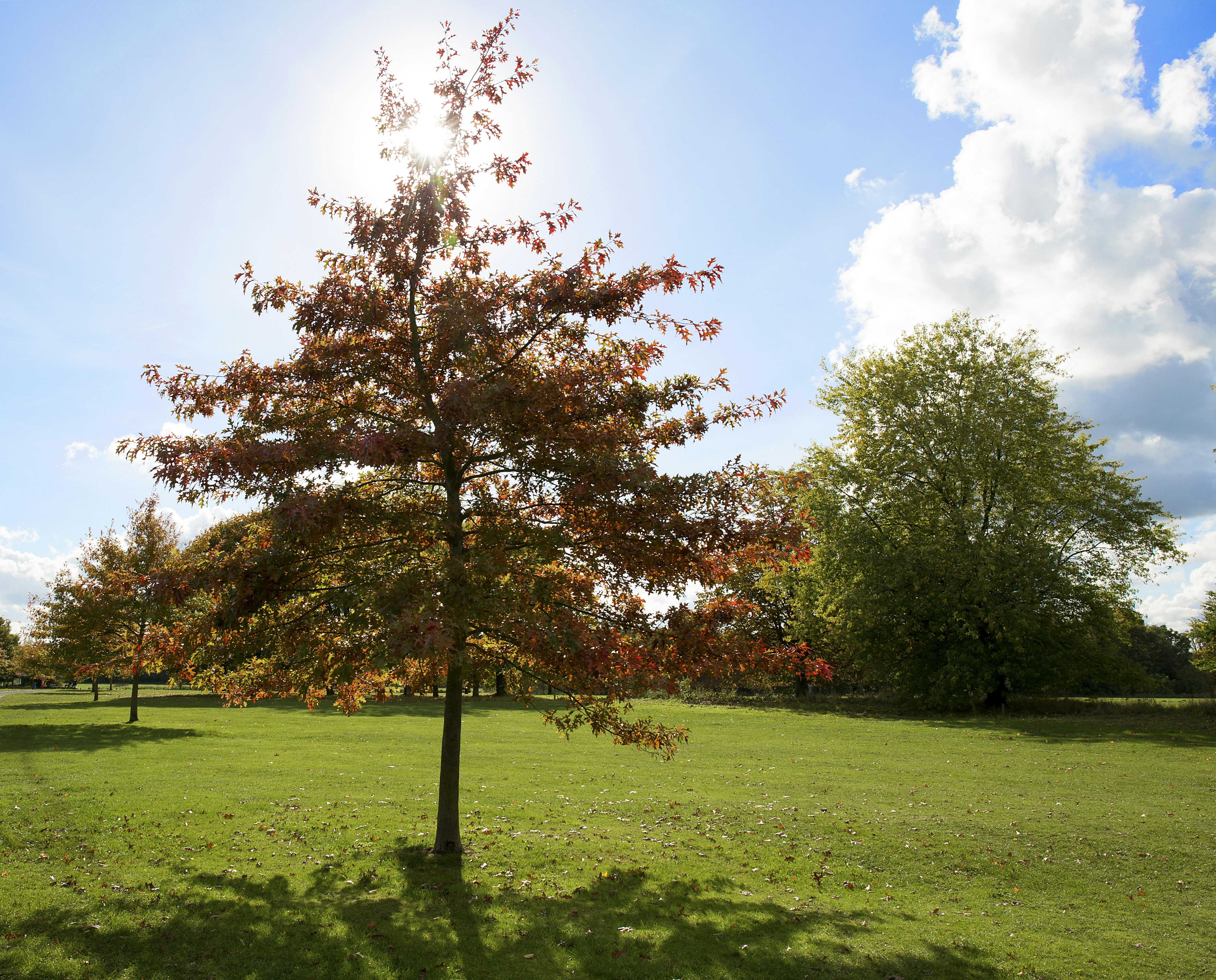 Photo by peterm4988372