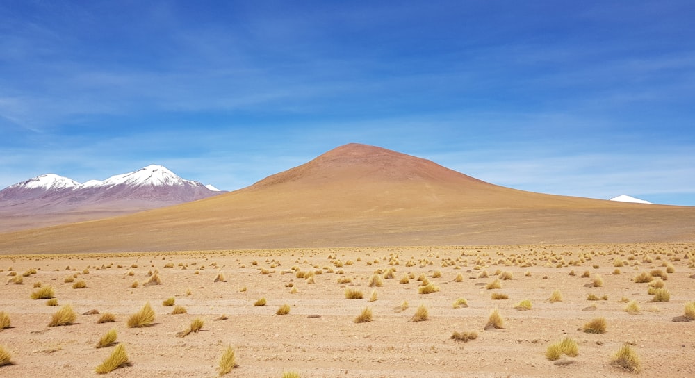 brown mountain under blue sky during daytime