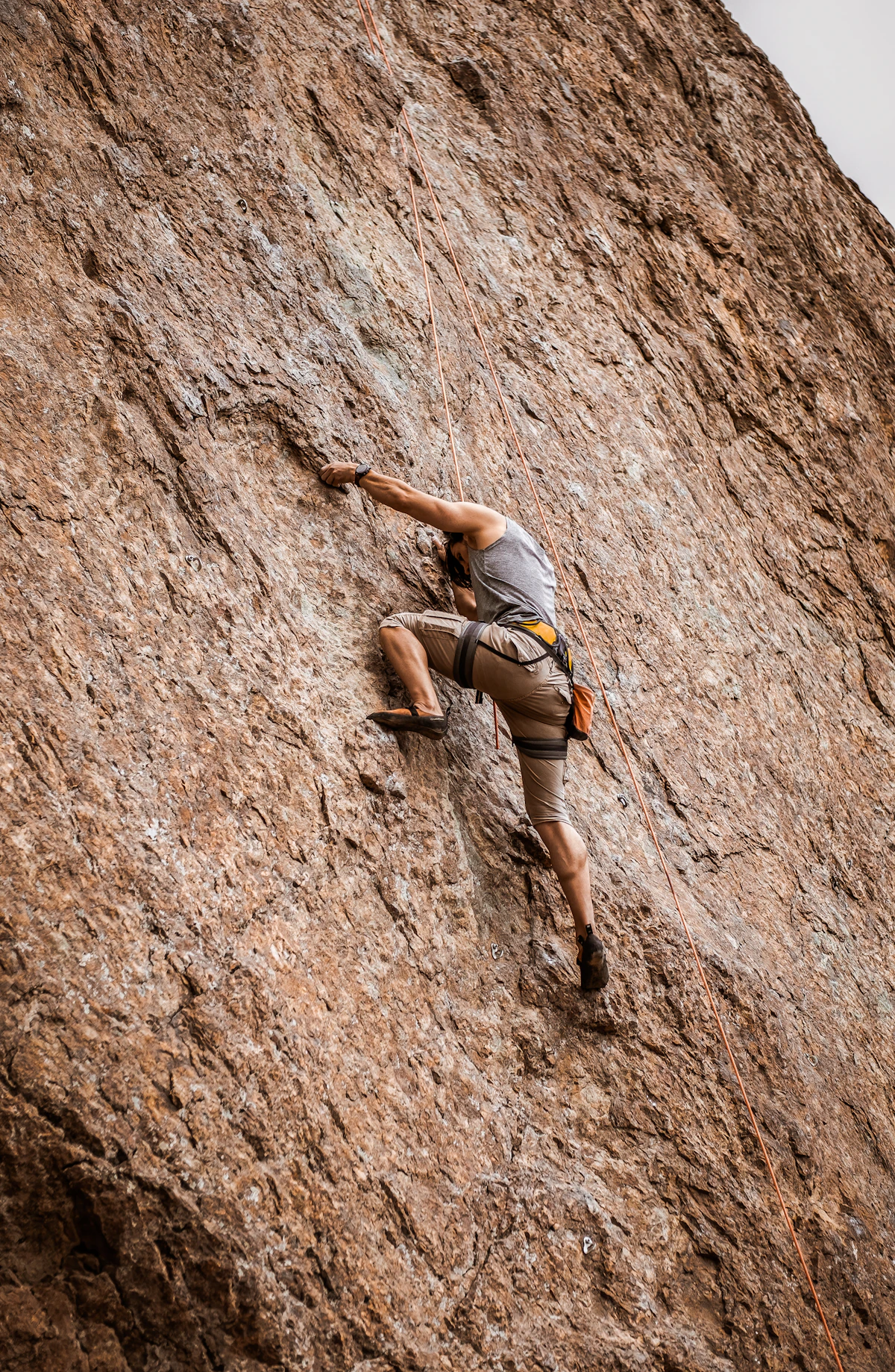 The brain did not evolve for the beach. It evolved for the climb.