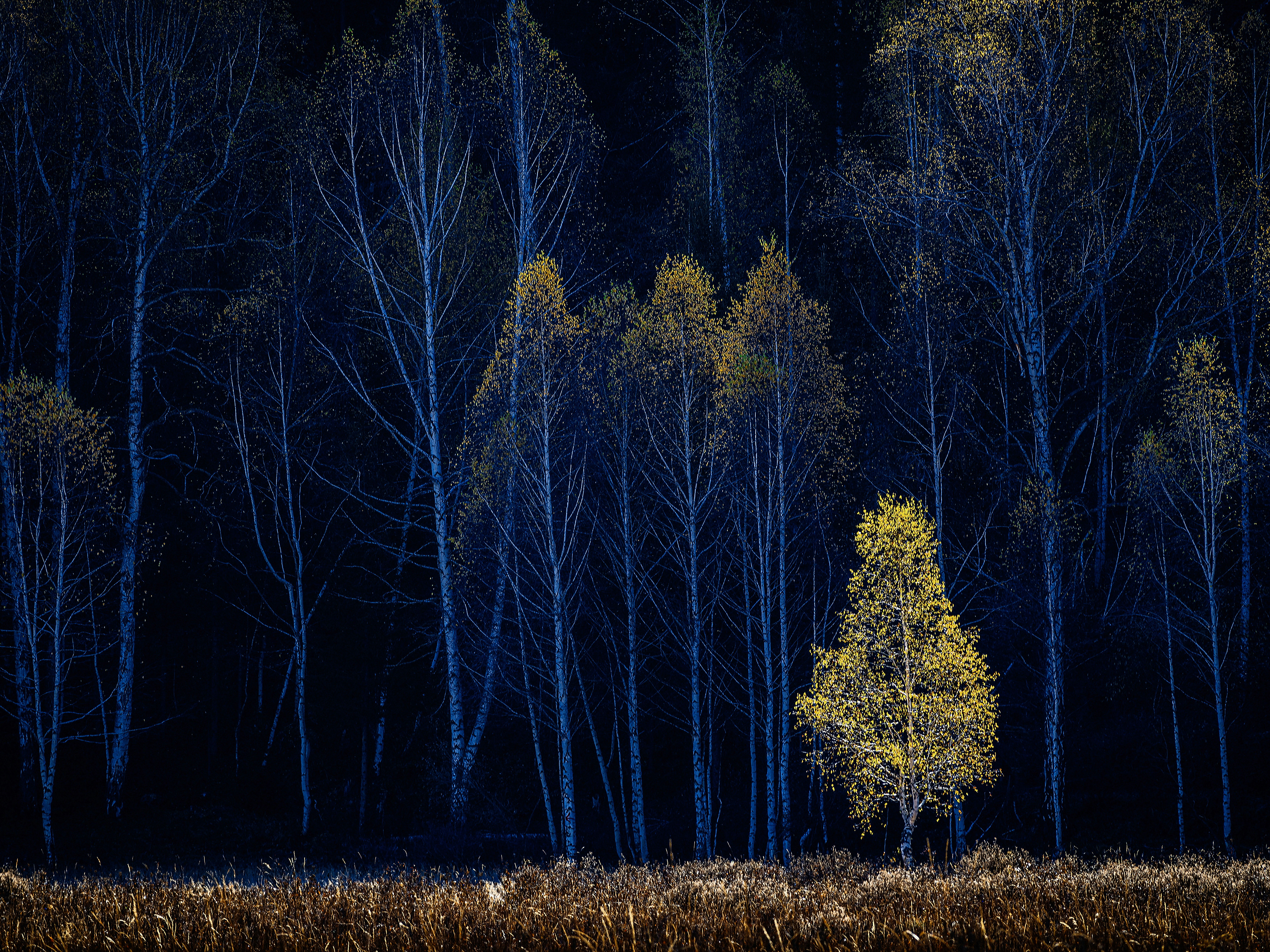 Image by 光曦 刘 via Unsplash