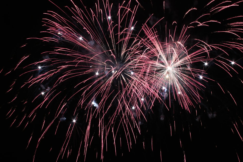 red fireworks display during nighttime