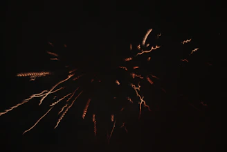 brown and white fireworks in dark night sky