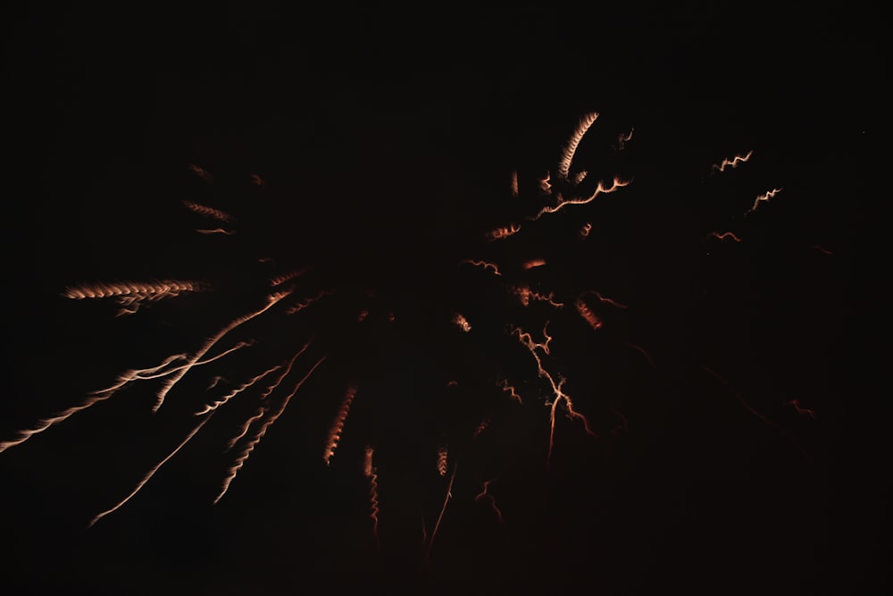 brown and white fireworks in dark night sky
