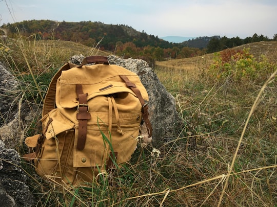 brown backpack on green grass field in Budaörs Hungary