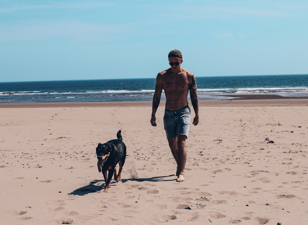 man in blue shorts walking on beach with black short coated dog during daytime