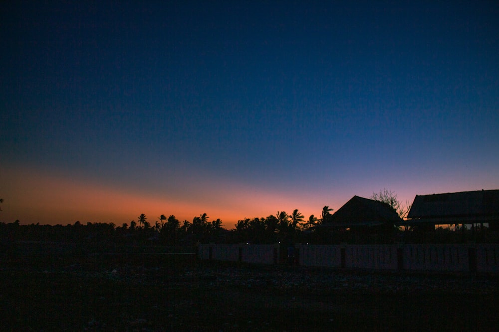 silhouette of trees during sunset