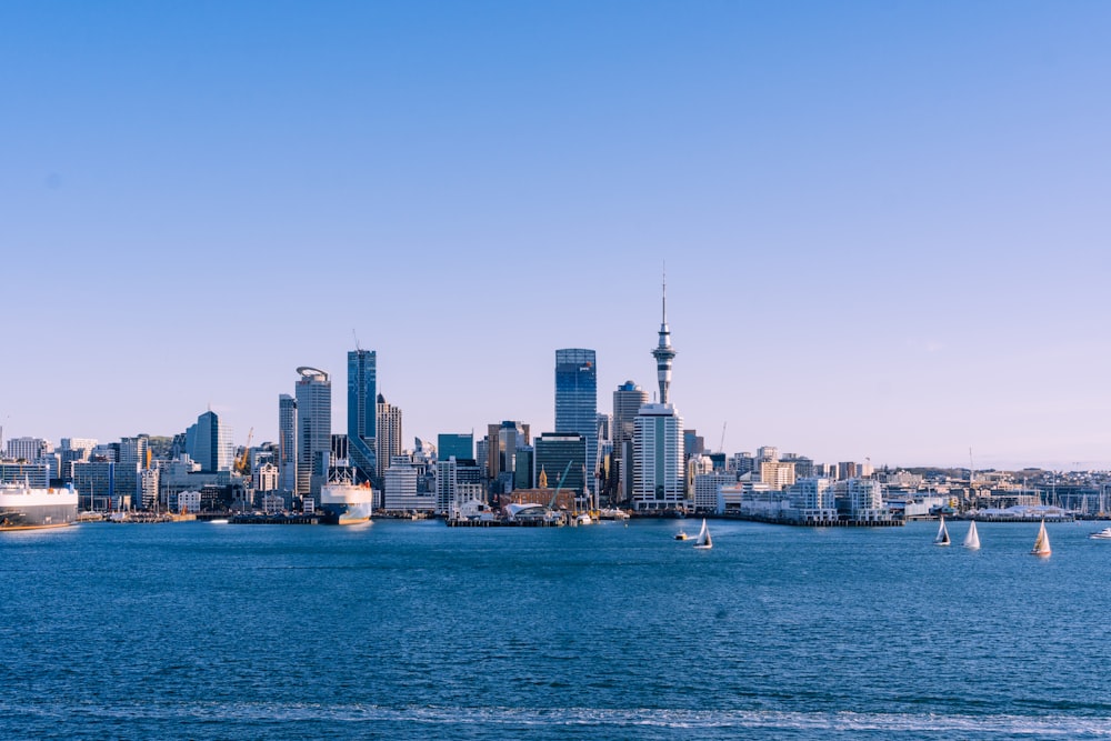 city skyline across body of water during daytime