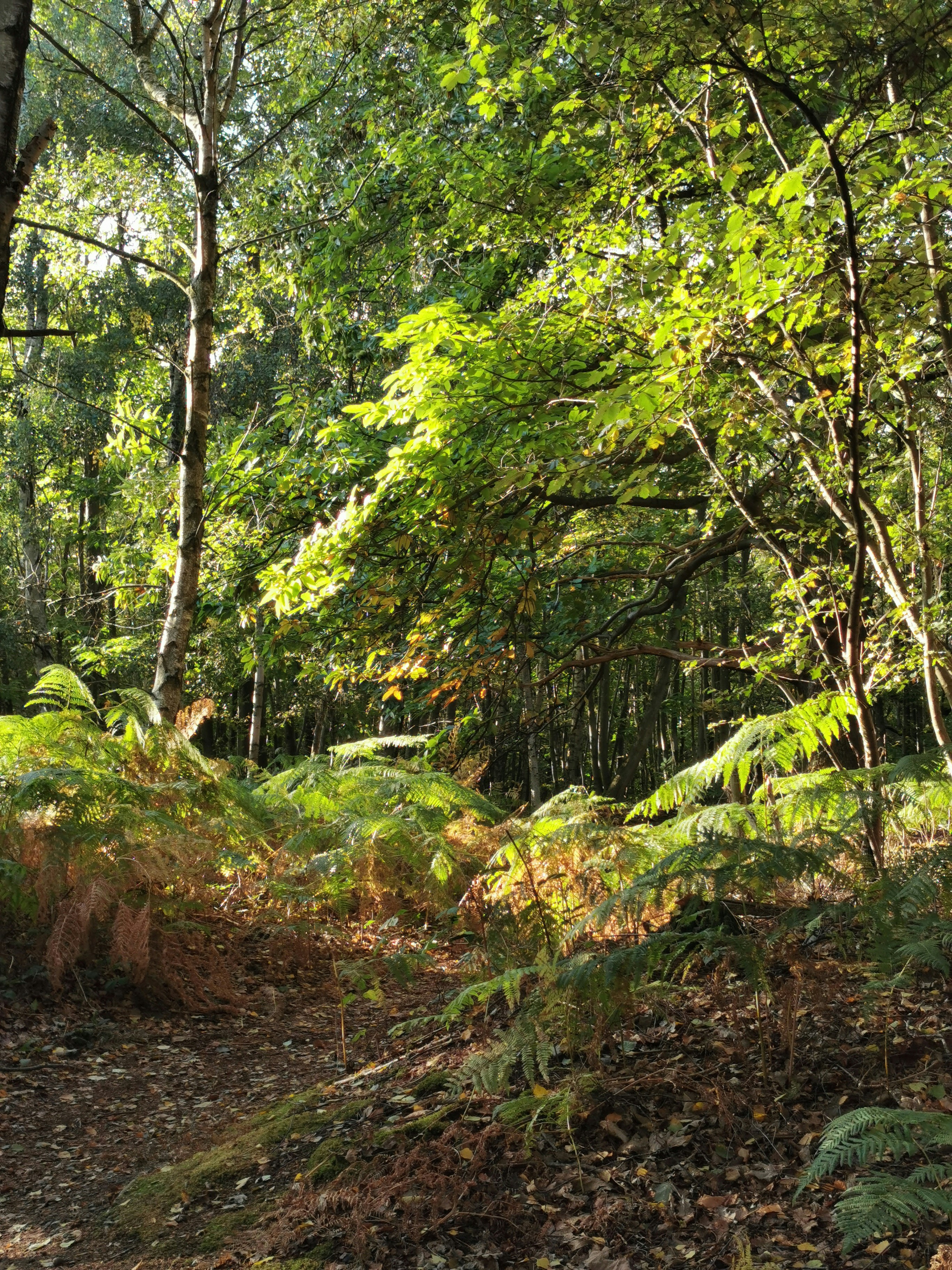 Photo by physicsbimbo