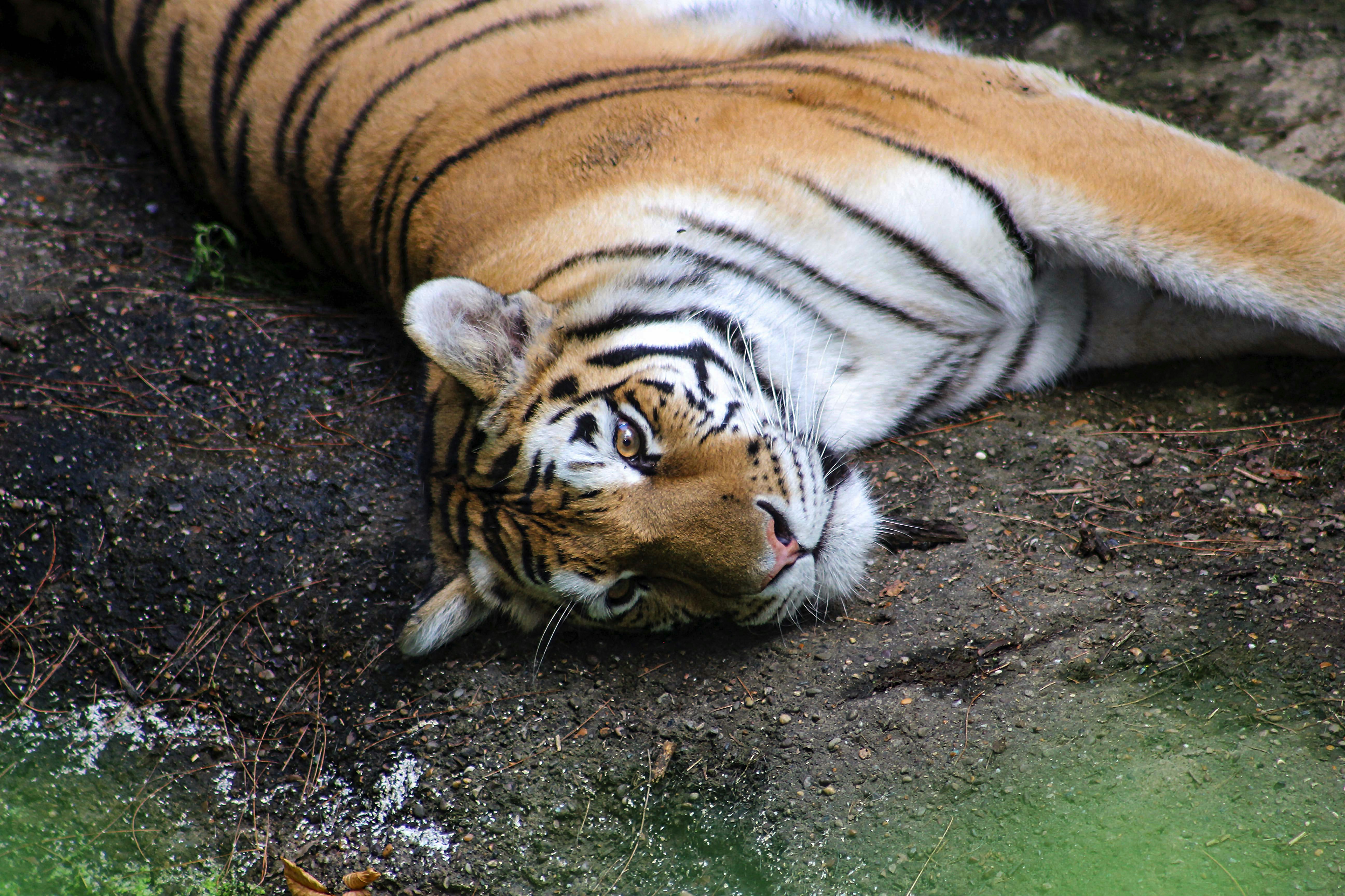 Photo by itsfiveoclock