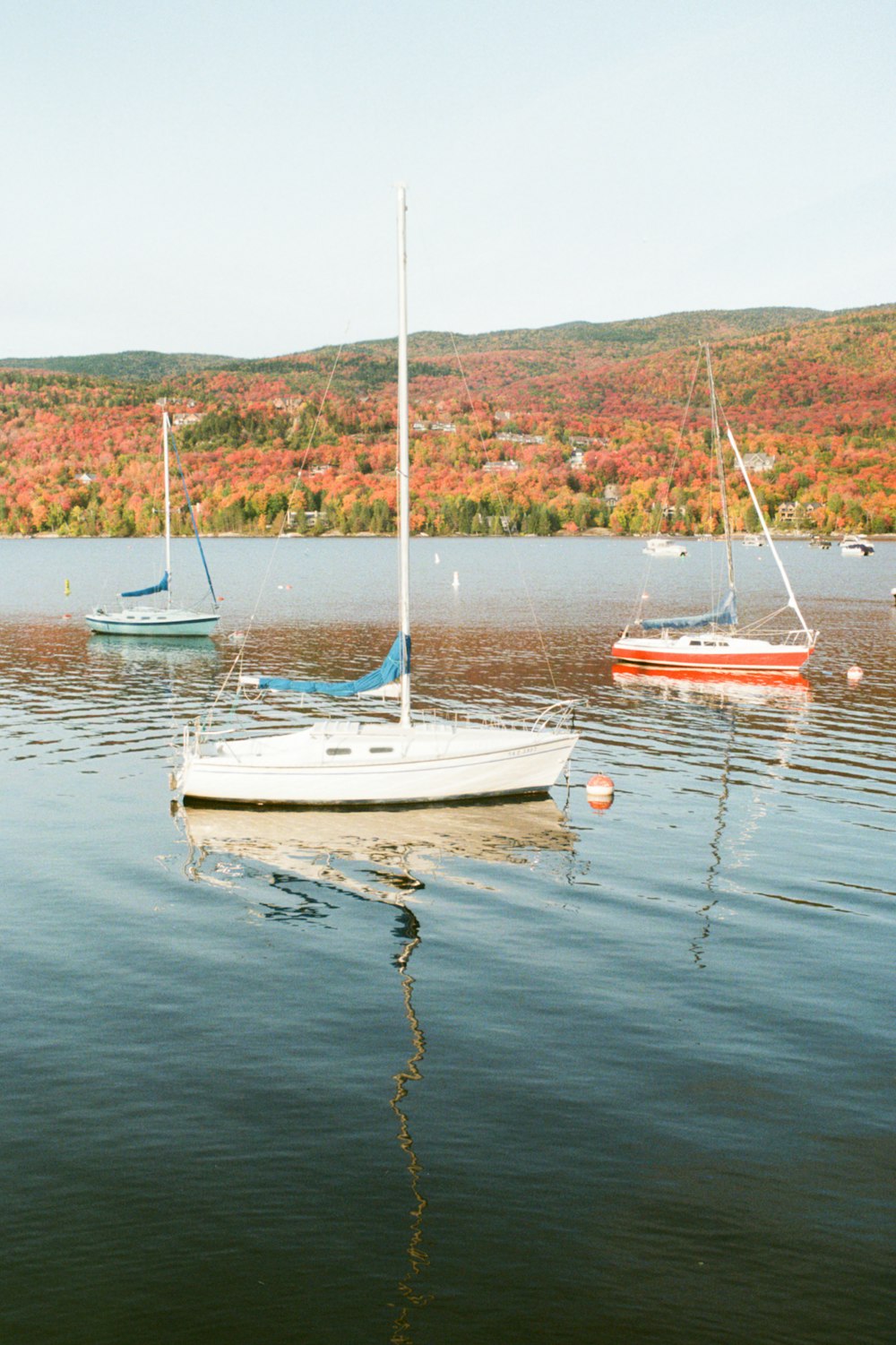 white and red boat on body of water during daytime