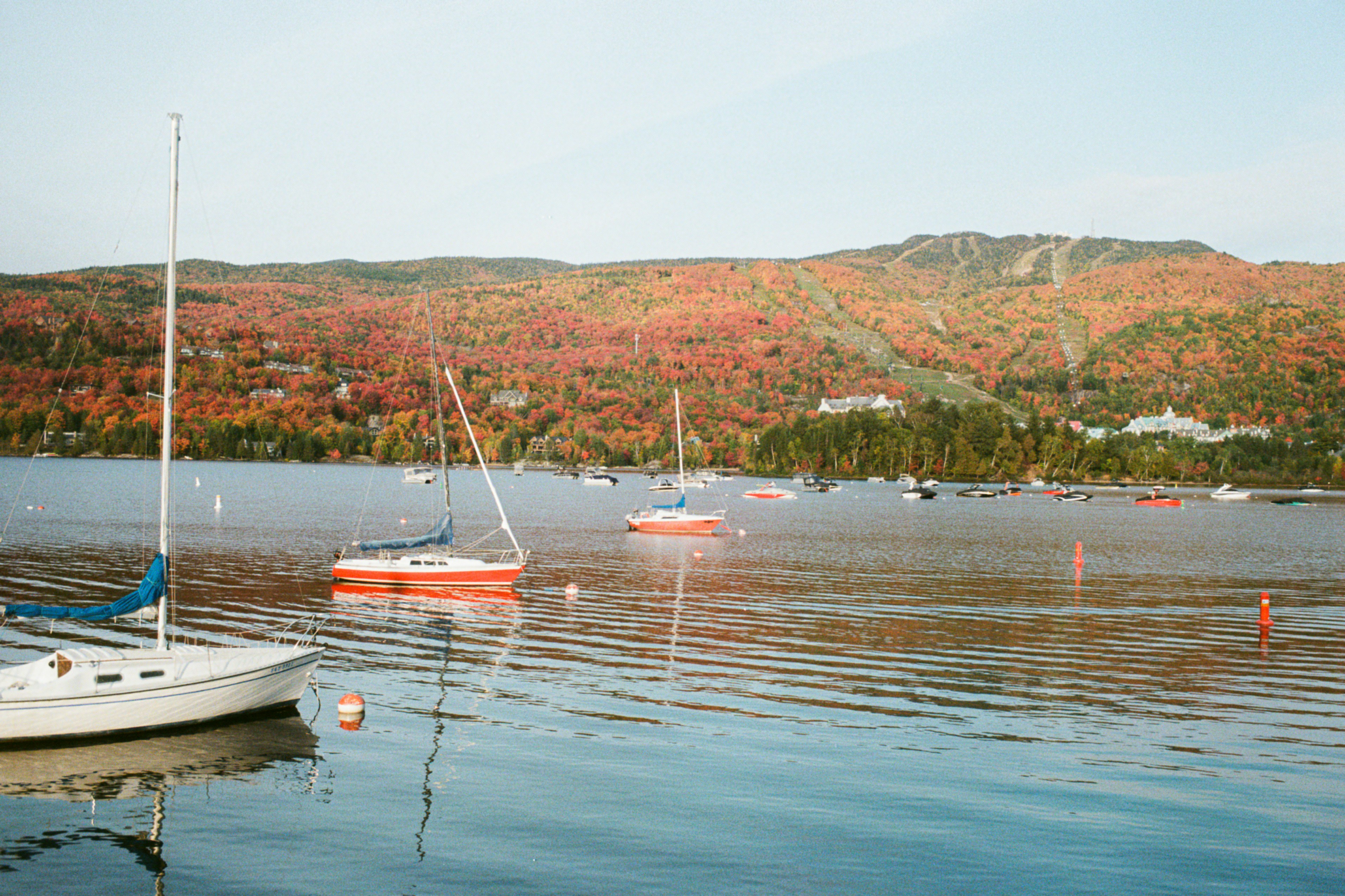 weißes und rotes Boot tagsüber auf dem Wasser