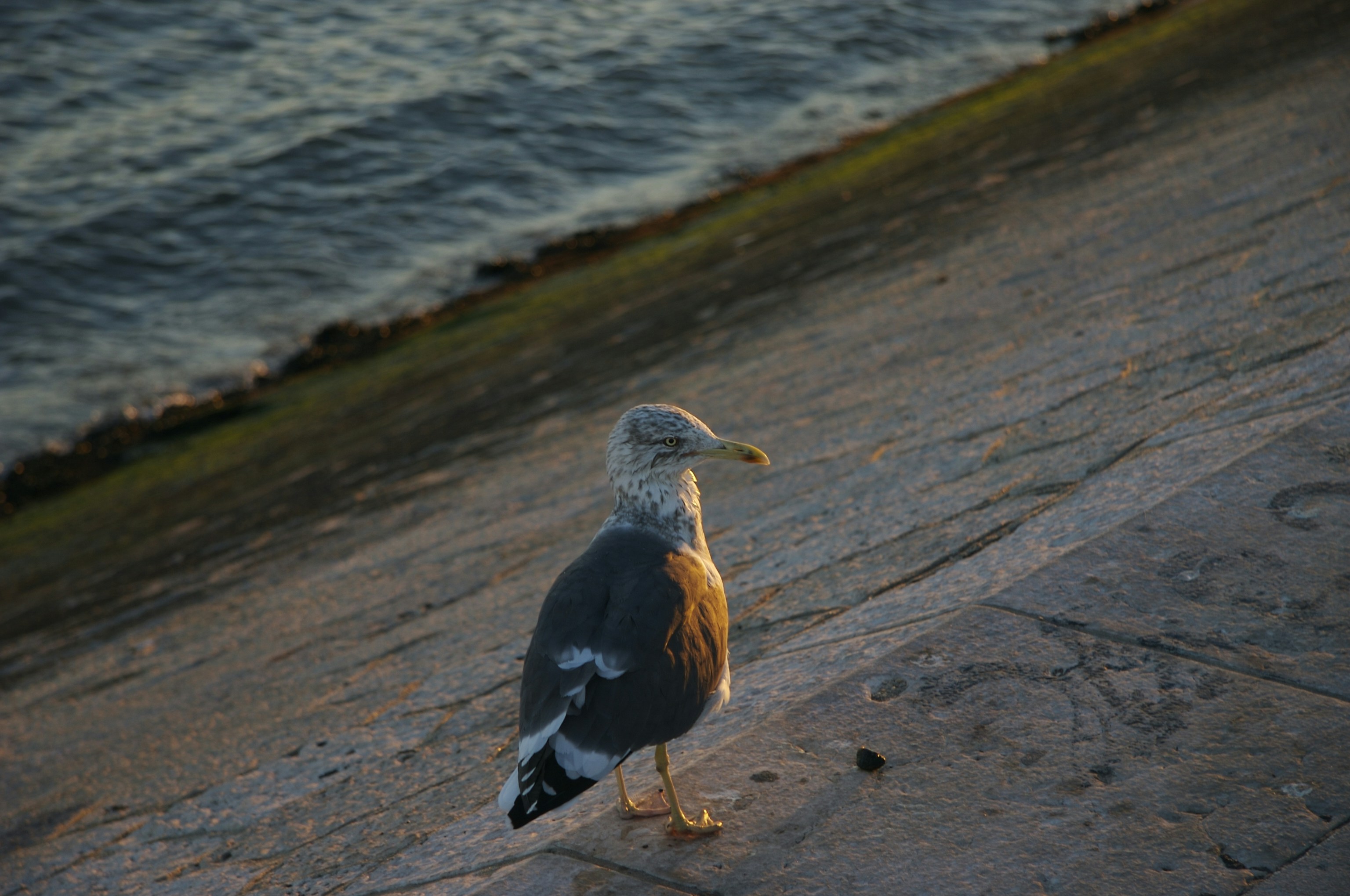 Photo by matusalemmarques