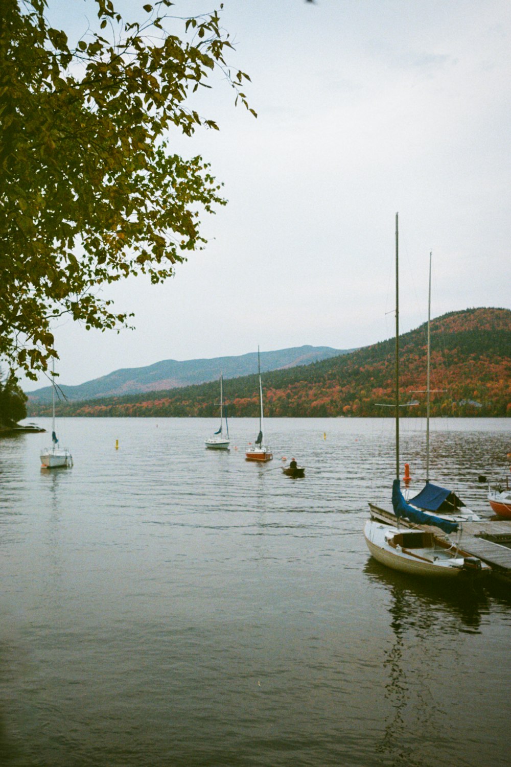 blue and white boat on water during daytime