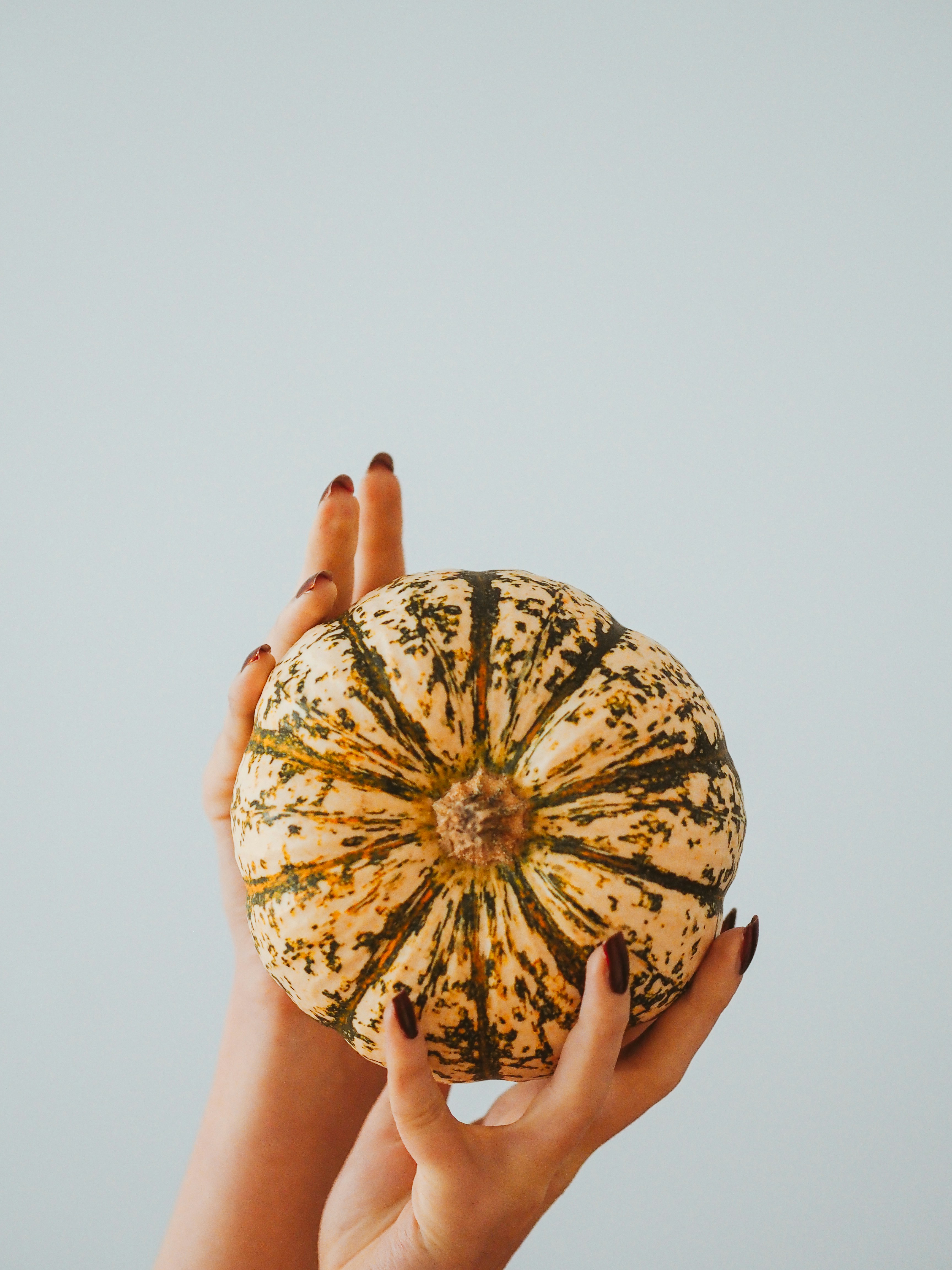 person holding brown and white floral ball
