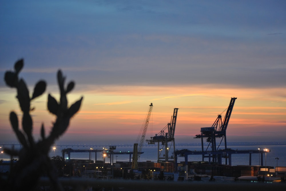 silhouette of person raising hand during sunset