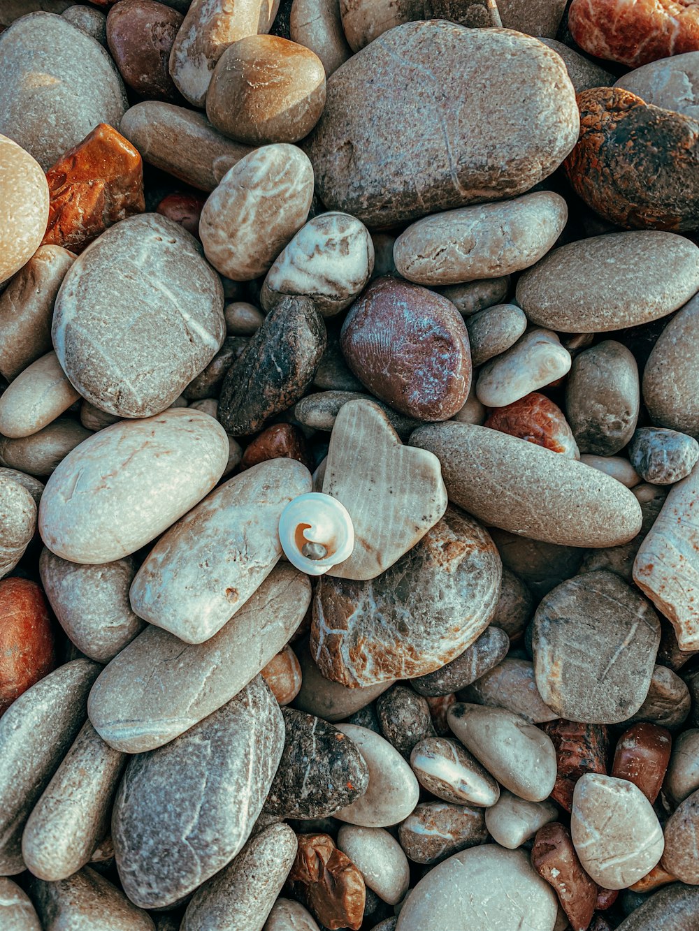 pierres blanches et brunes sur fragments de pierre brune et grise