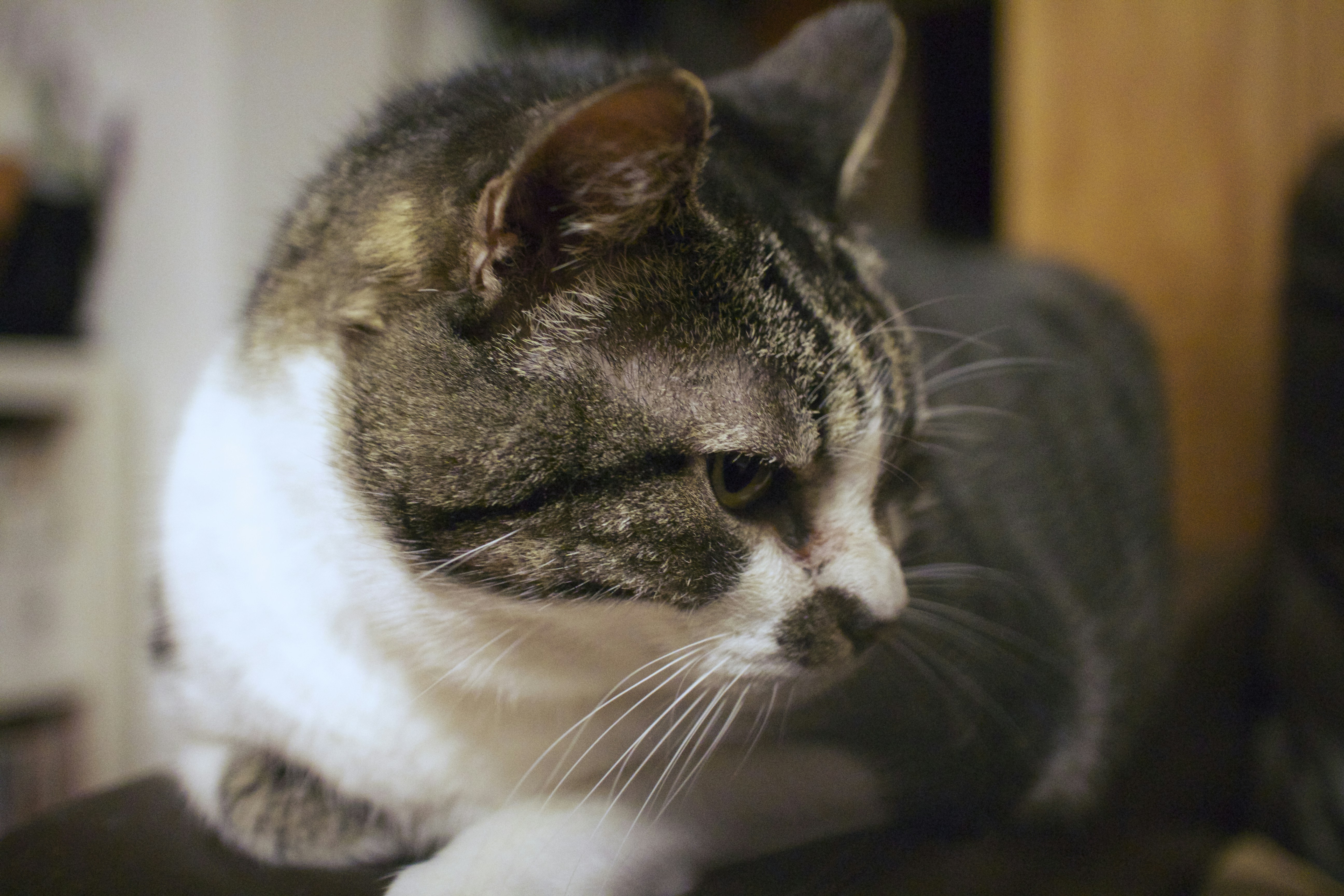 Photo by matusalemmarques