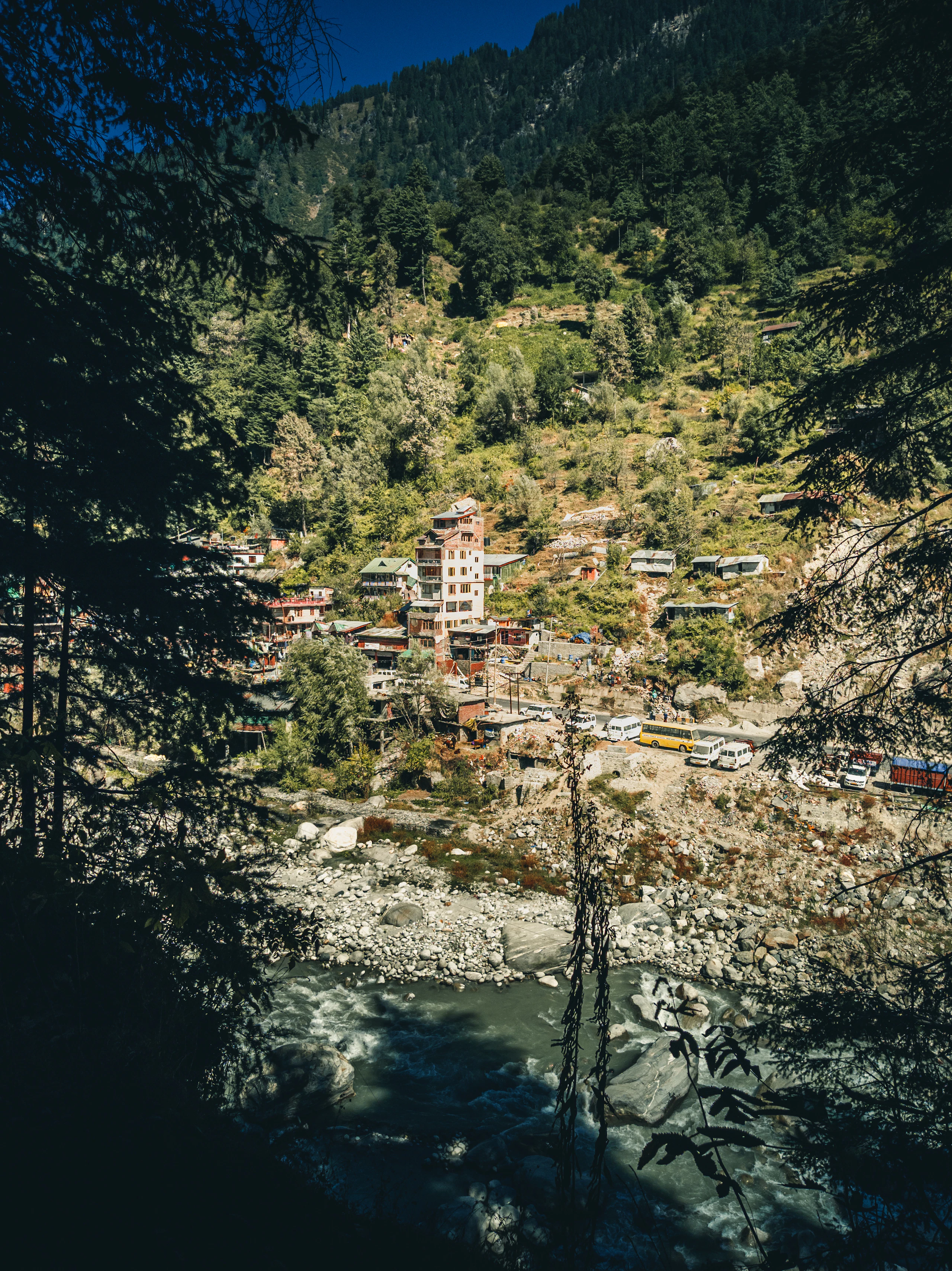 Green trees beside a stream in the hillside village of Vashisht near Manali, Himachal Pradesh