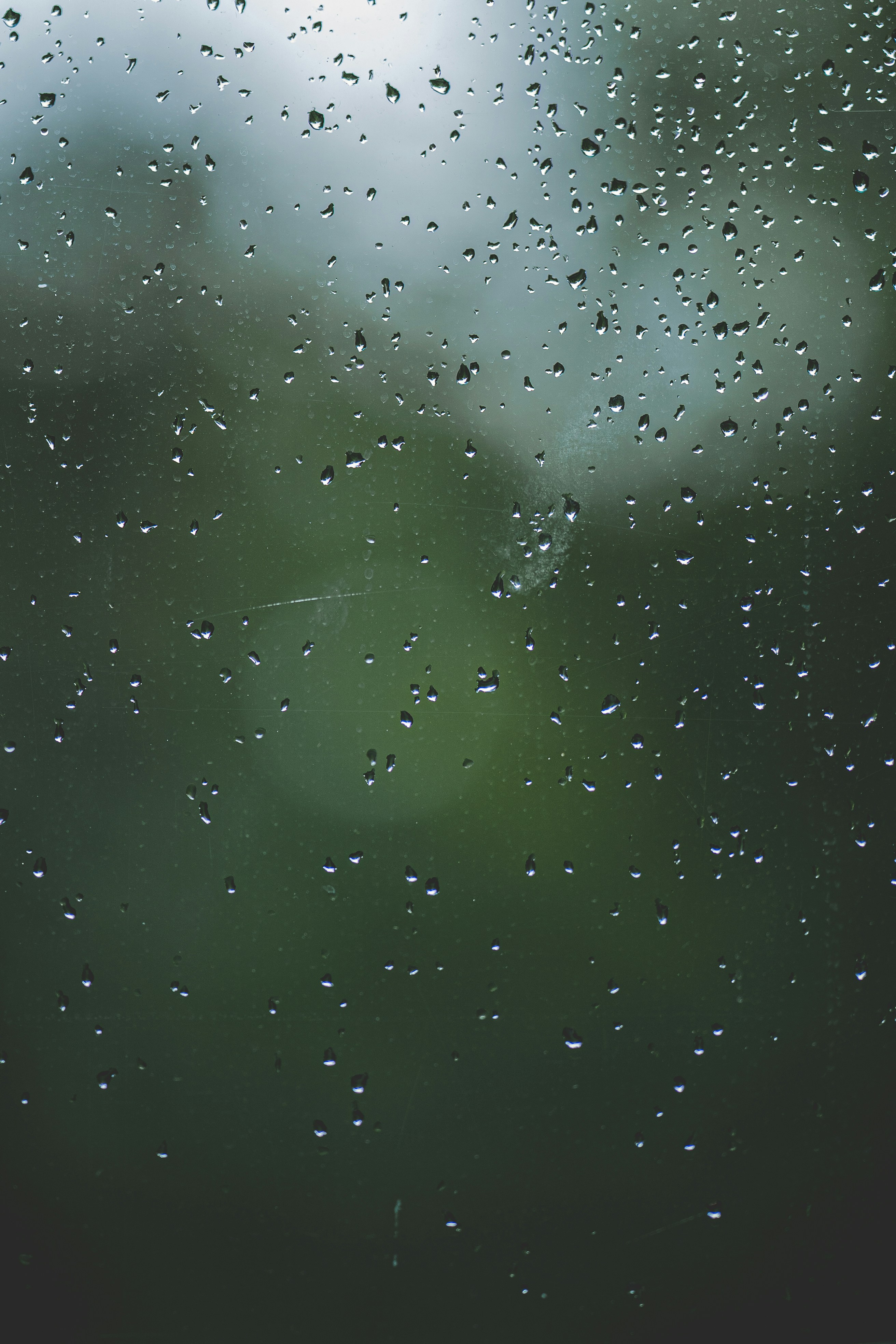 Photo by omarvellous14