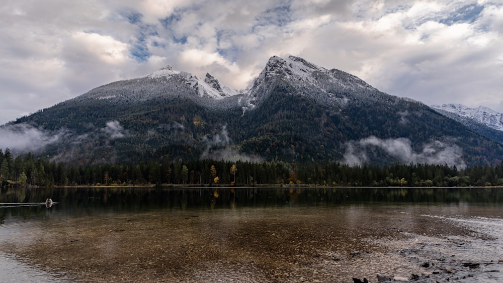 grüne Bäume in der Nähe von See und Berg tagsüber unter weißen Wolken